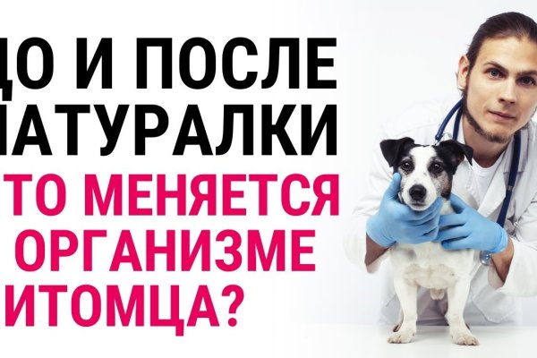 Кракен ссылка маркет